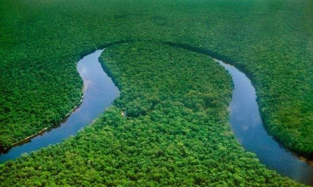 恐龙|1967年，有人在刚果发现了恐龙？据说还不止一种