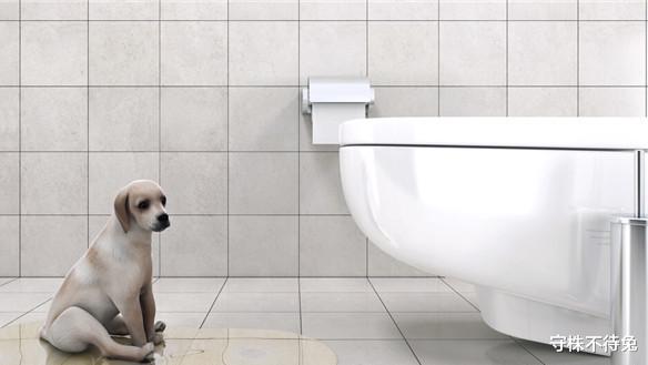 |23个冷知识：或许让人感到虚假，但却真实存在的有趣事实