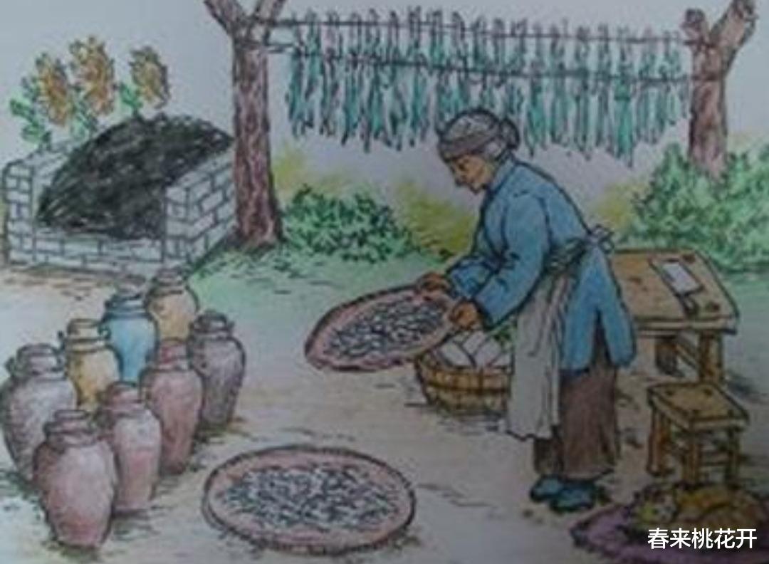 春来桃花开 李子柒做泡菜遭韩国网友围攻：泡菜是我们韩国人吃的吧？