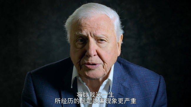 豆瓣|豆瓣9.4分，却只有两千人看过：这部纪录片，我不敢看第二遍…