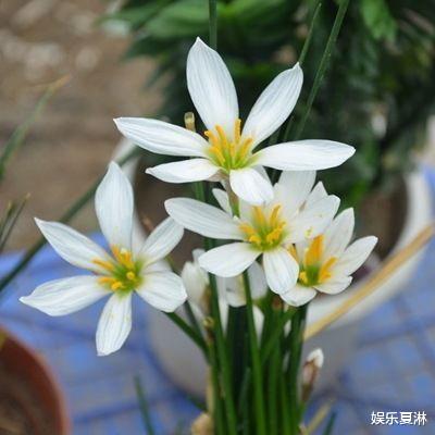 天生”享福命“的三种生肖女，早年吃苦受累，晚年很幸福