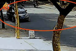 江南都市报|事发江西！开门瞬间，一条命没了......