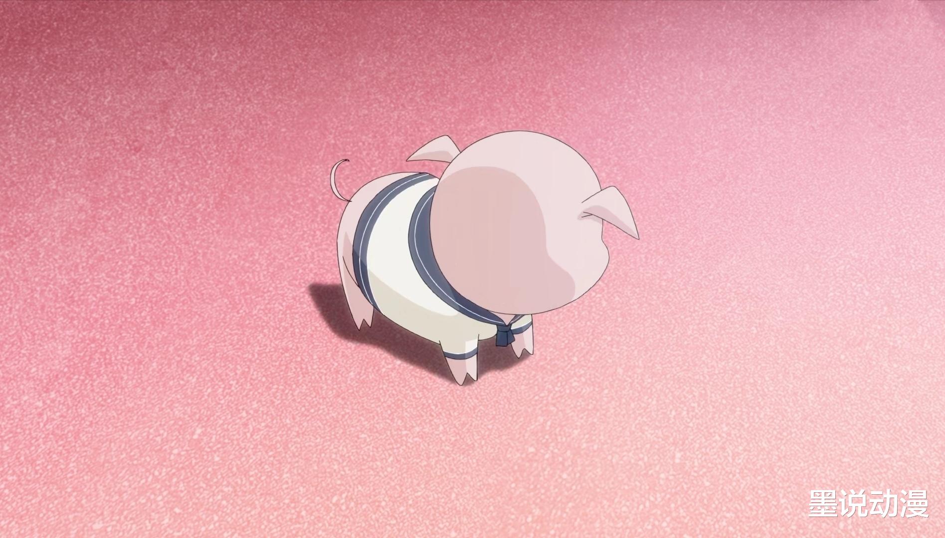 央视|我为歌狂2：open乐队回归，全高大赛即将开启