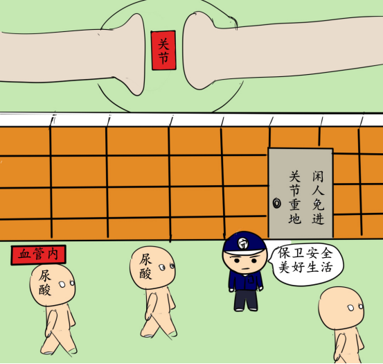 尿酸|年纪轻轻就有痛风，这到底是个啥毛病