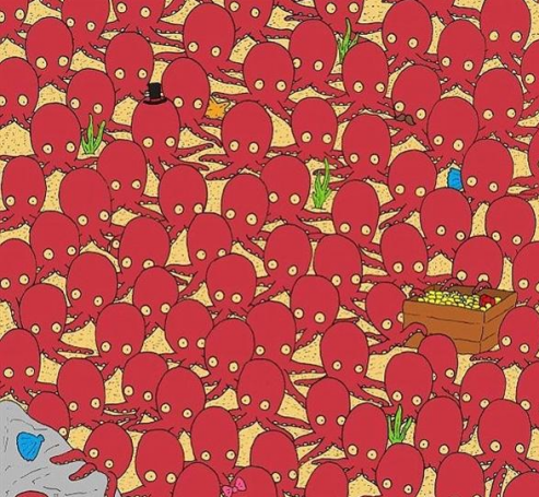 章鱼|老年痴呆经典测试:小鱼中有一条章鱼,能发现的大脑还很健康!