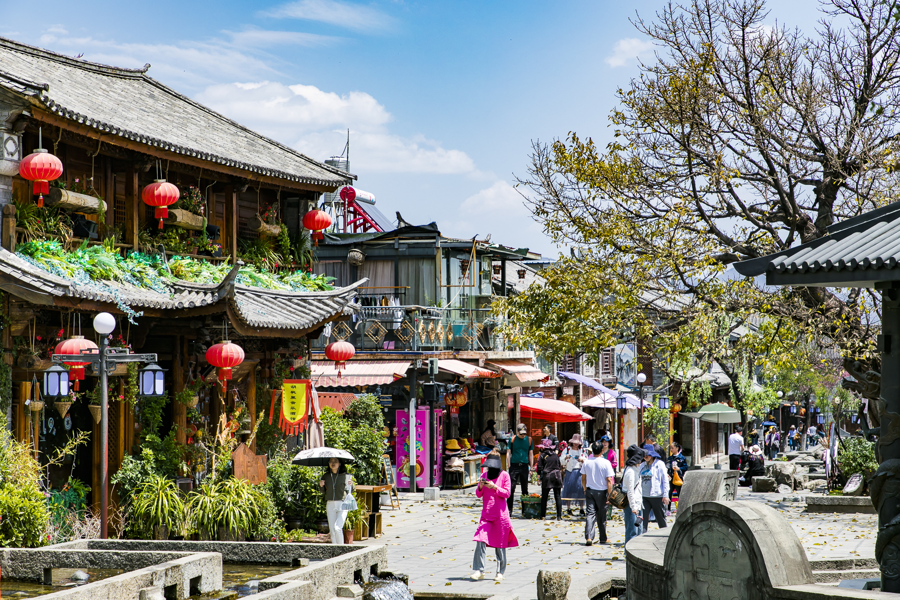 『大理』中国最美的“宜居之城”，四季风景如画，有钱人都在这里买房养老