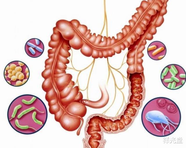 『睡眠』肠道开始病变，晚上睡觉会有3种表现，若一个不占，说明还很健康