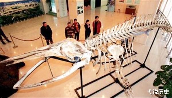 营口|1934年“营口坠龙”事件是真是假?老人上交龙骨揭开真相