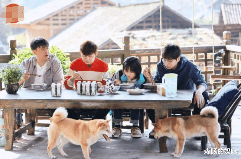 「向往的生活」《向往的生活》官微公开道歉，导演手抖犯错，网友: 这样的错误多来点