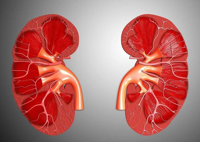 长寿|男人到了50岁，若身体有这3个特征，说明还很健康，是长寿的表现