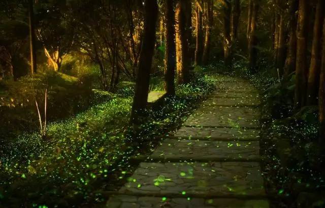 [原创]《夏夜童话》原创歌词，串联了24个经典童话，有没有哪个是你童年的梦？