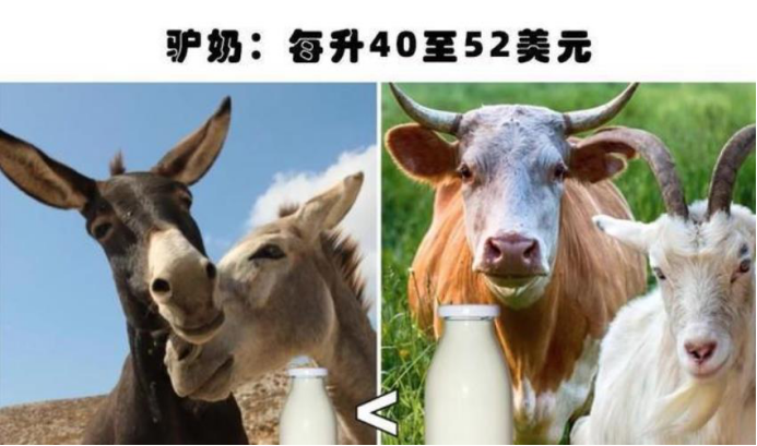 蝎子|6种昂贵的动物液体,人类独占2种,就是有钱也买不到