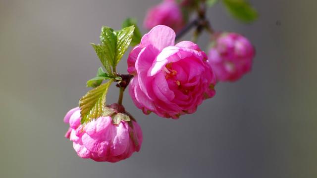 天蝎座|让人难舍难分的星座，即使发生争吵，也舍不得离开他们