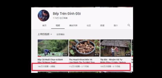 「李子柒」越南博主模仿李子柒，衣服发型连老人和狗都一模一样，太不要脸了