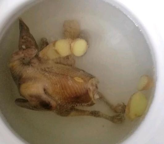 「桂圆」手把手教学煲鸽子汤，简单配料，加入补品味道上佳