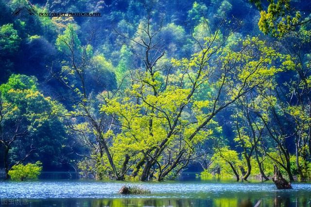 芯片|中国股市：机构重仓的17只优质芯片蓝筹股（名单）