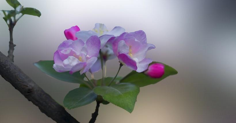 运势|10月开始，四生肖财运滚滚，贵人相助，注定富贵满堂