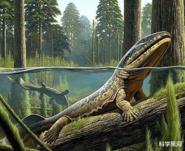 [哺乳动物]地球上，哺乳动物的生殖系统为什么都在两腿之间？