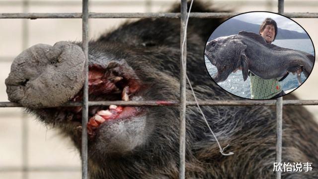 核辐射|人体DNA一旦断裂后会发生什么？日本人亲身“试验”，让人难以想象！