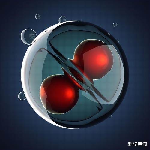 |人类并不惧怕动物残骸，但却对同类尸体感到很恐惧，这是为什么？