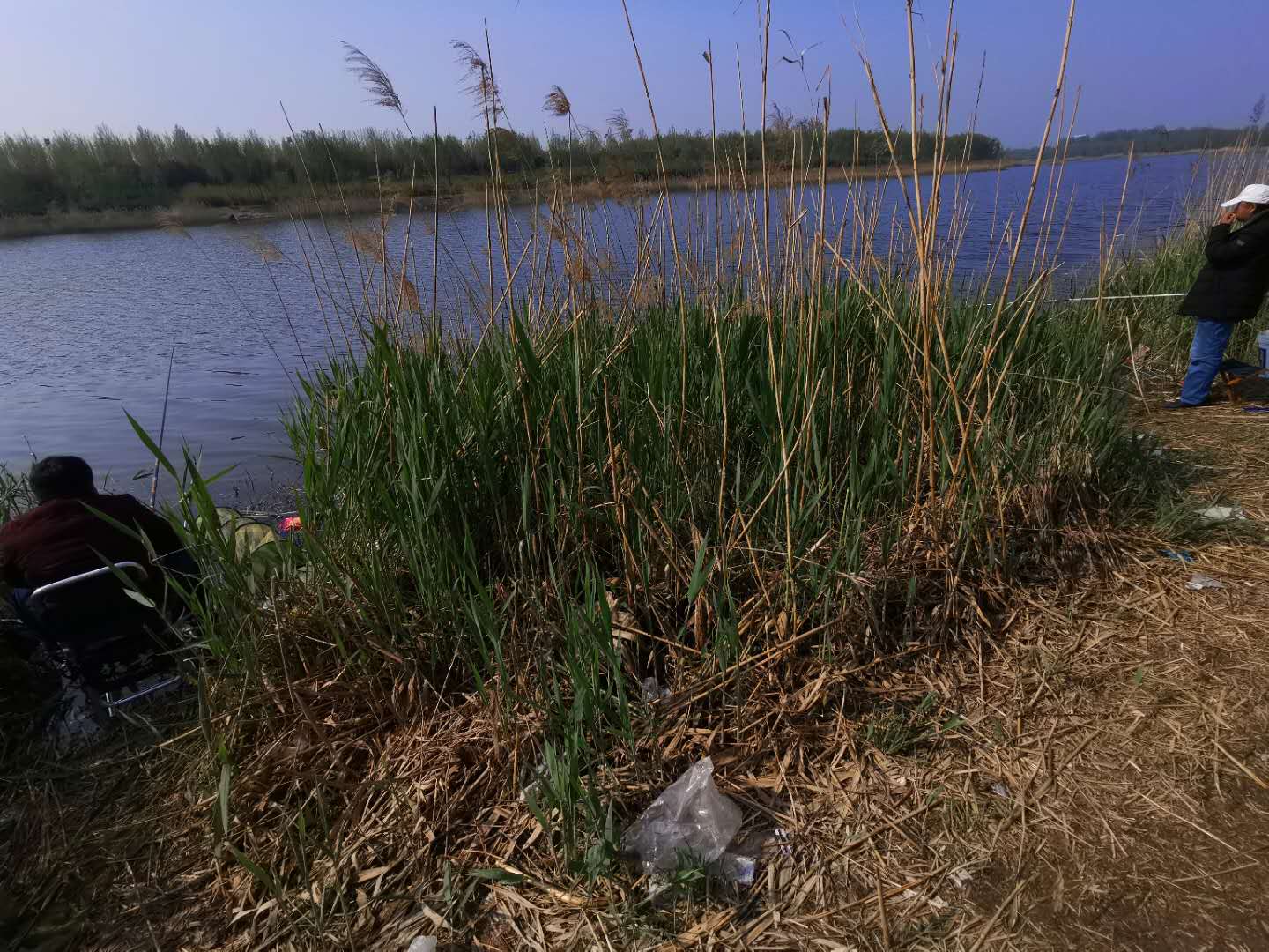 ##在野河、河道钓鱼，选择钓点有技巧，随便选可不行！