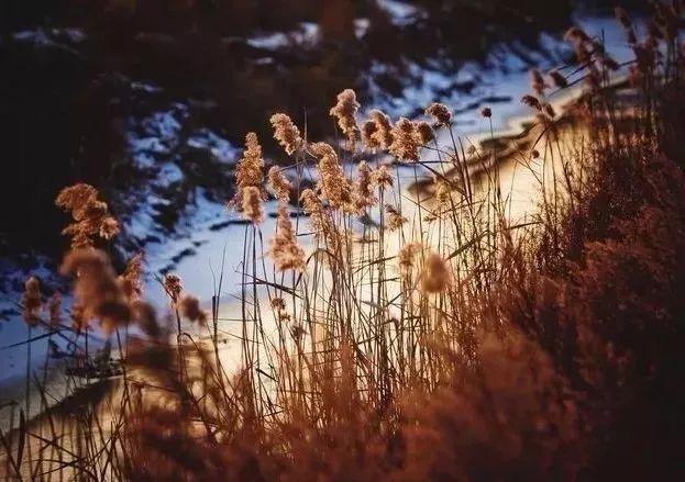 「」等老了,不讨儿女嫌,记住这10条