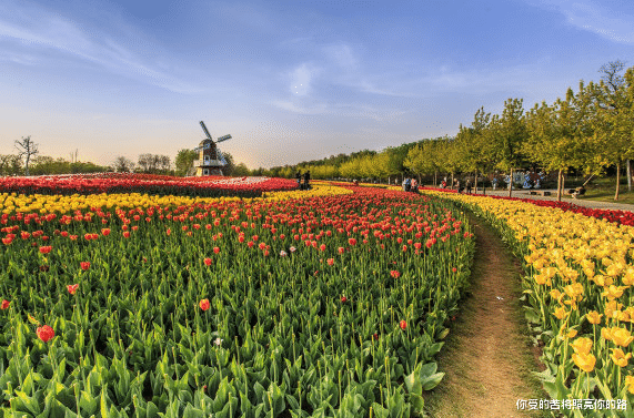 属马|今天开始，4属相转好运，财运大大提升，收入大涨，喜气洋洋