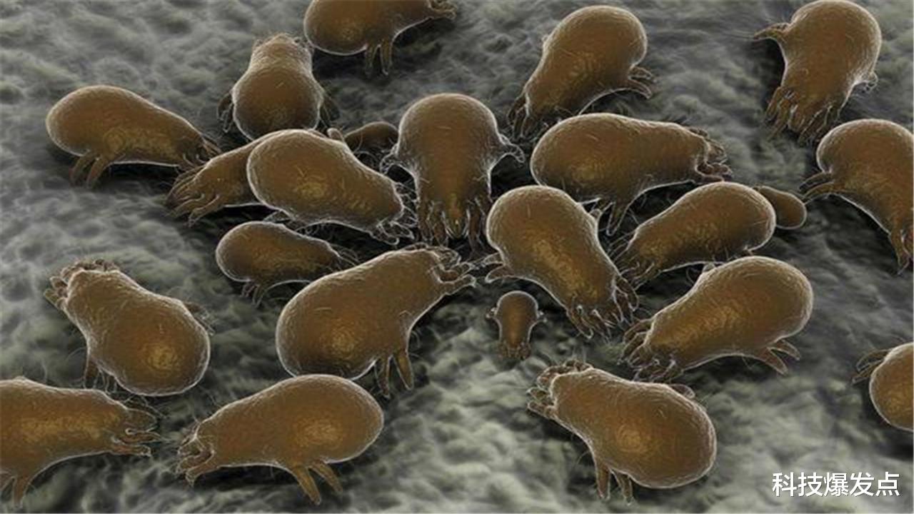 科学家|科学家发现以金属为食的细菌,百年前的预言,终于得到证实!