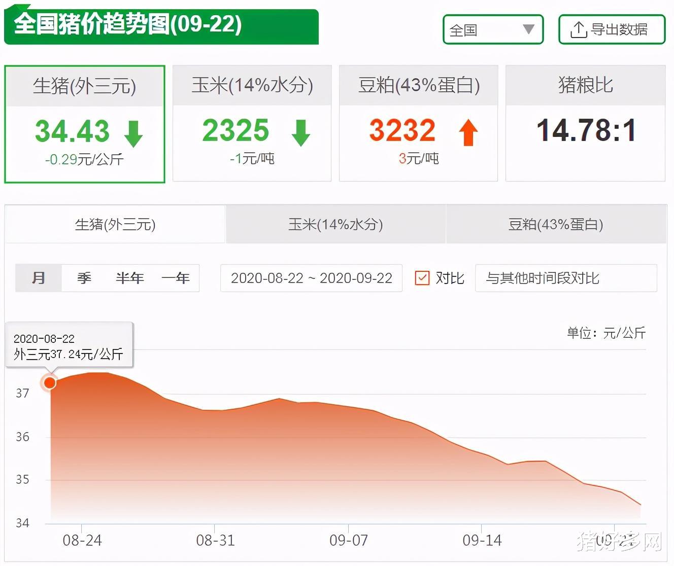 生猪价格|9月22日生猪价格，“全线崩盘”！后市猪价下跌已是大势所趋