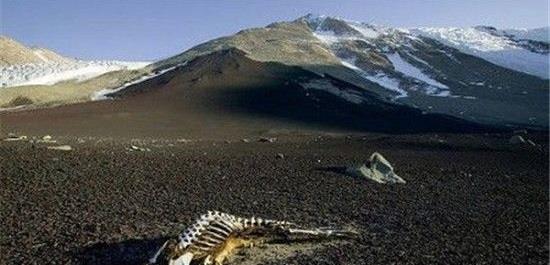 诡异事件@七大诡异事件，胆小勿进，你还敢看吗？