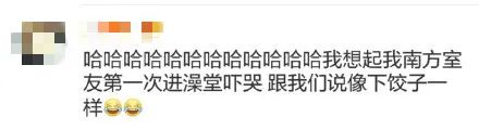大白菜|看一次笑一次！你家买白菜了吗？