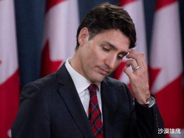 #加拿大#损失超过237亿！加拿大媒体气急败坏：中国不应该放任不管