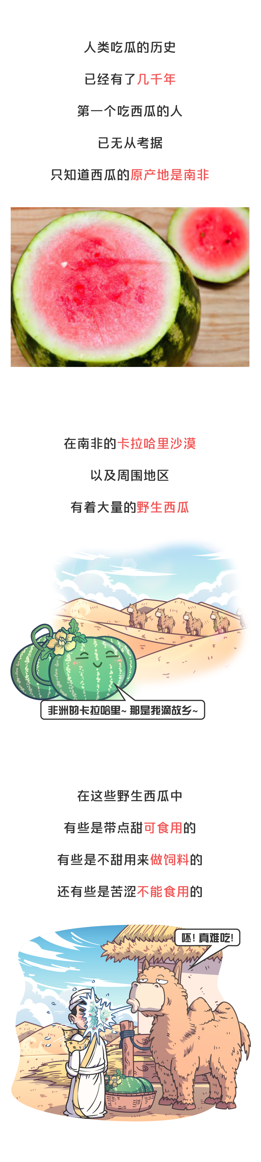 「」西瓜的祖先长这样,人类是怎么下口的?