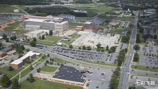 冠状病毒：现在为什么再没有人讨论“蝙蝠”了呢？