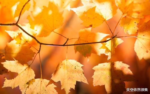 天空依然很美 我们所期待着的