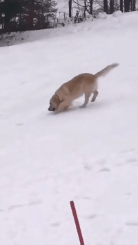 |难怪老公最近爱上了钓鱼,偷偷跟去一看,原来是这样哈哈哈