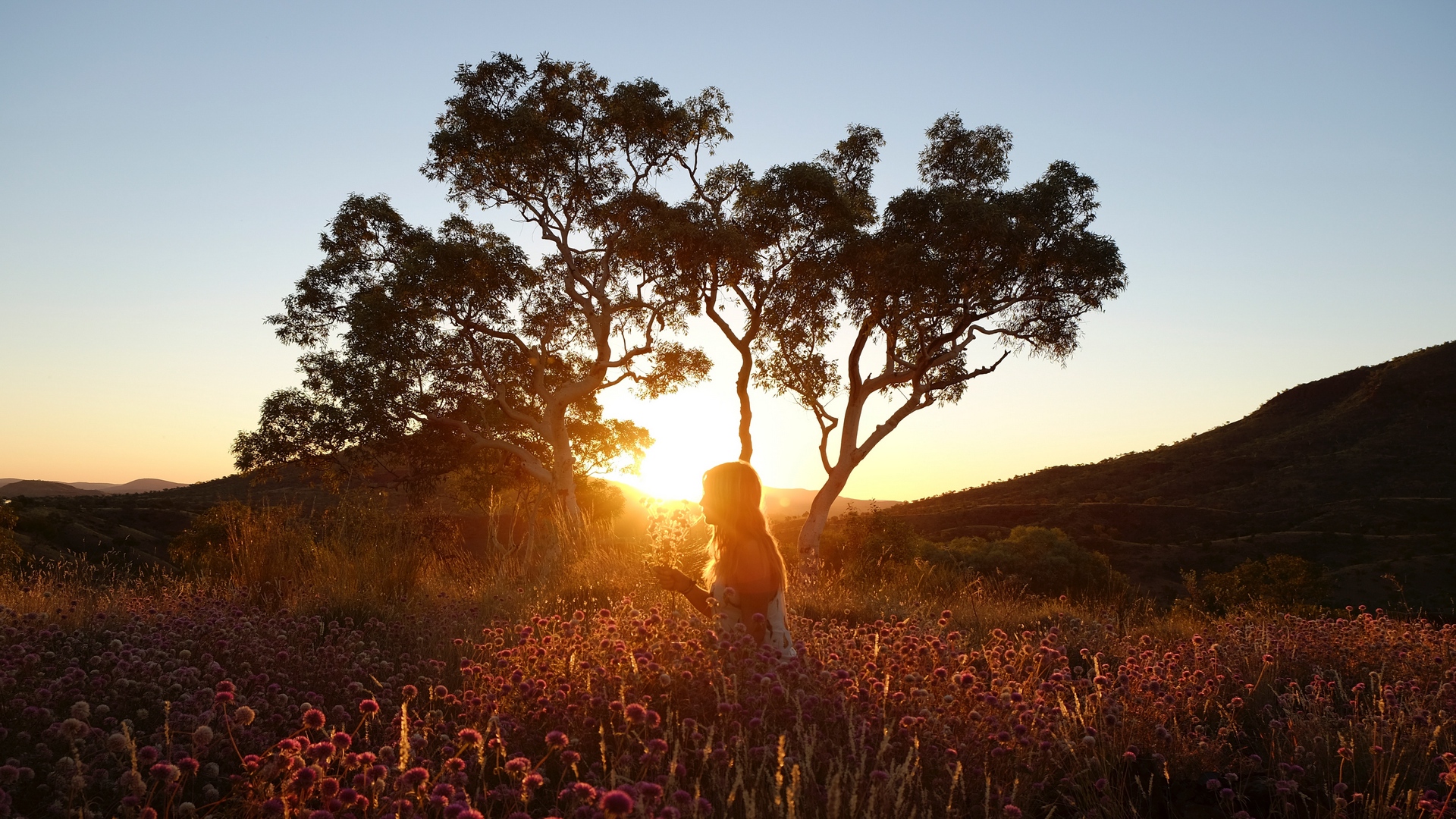 射手座@六月中旬，要付出，就是全部，三星座不求很成功，但求不后悔
