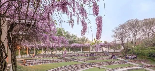 「高校」两所实力雄厚高校，地理位置优越，性价比很高 值得报考！附录取分