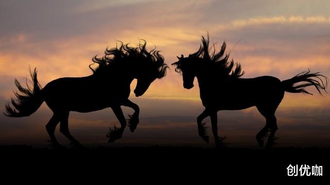 左右逢源|2020下半年，锦鲤相随，贵人撑腰，左右逢源，一路扶摇直上的星座