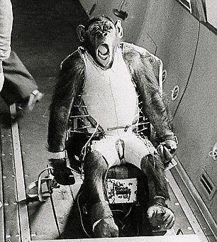 50年前被送上太空的狗和猴子，如今怎么样了？说了你可能不相信