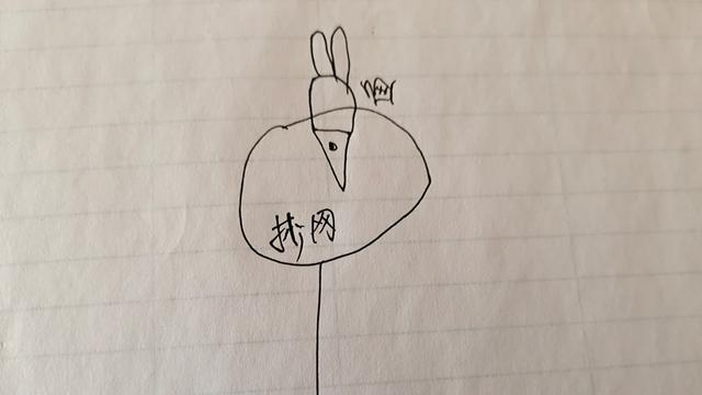 「」什么技巧都不会，怎么钓大鱼？学会这几招，下竿就上大鱼