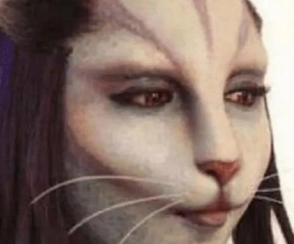 非诚勿扰|她是非诚勿扰最特殊的女嘉宾，化妆成猫脸无人敢牵手，卸妆后长成这样