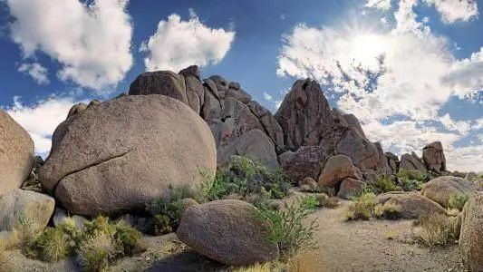 生肖@7月下周开始财运红似火，横财连发，事业蒸蒸日上，真爱找上门的生肖