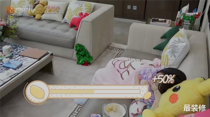 |不想生孩子,却喜欢养猪的宋茜,豪宅装修奢华,连猪都睡婴儿床