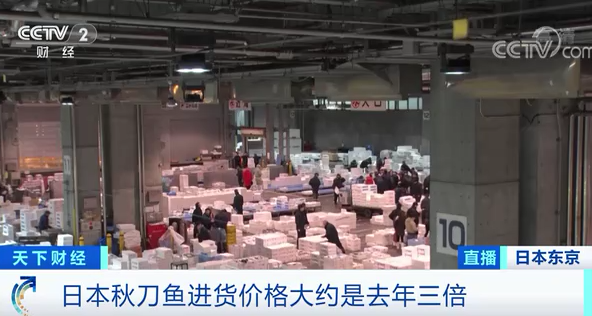 浙样的生活|历史罕见！浙江人爱吃的这种鱼价格飙涨5倍！