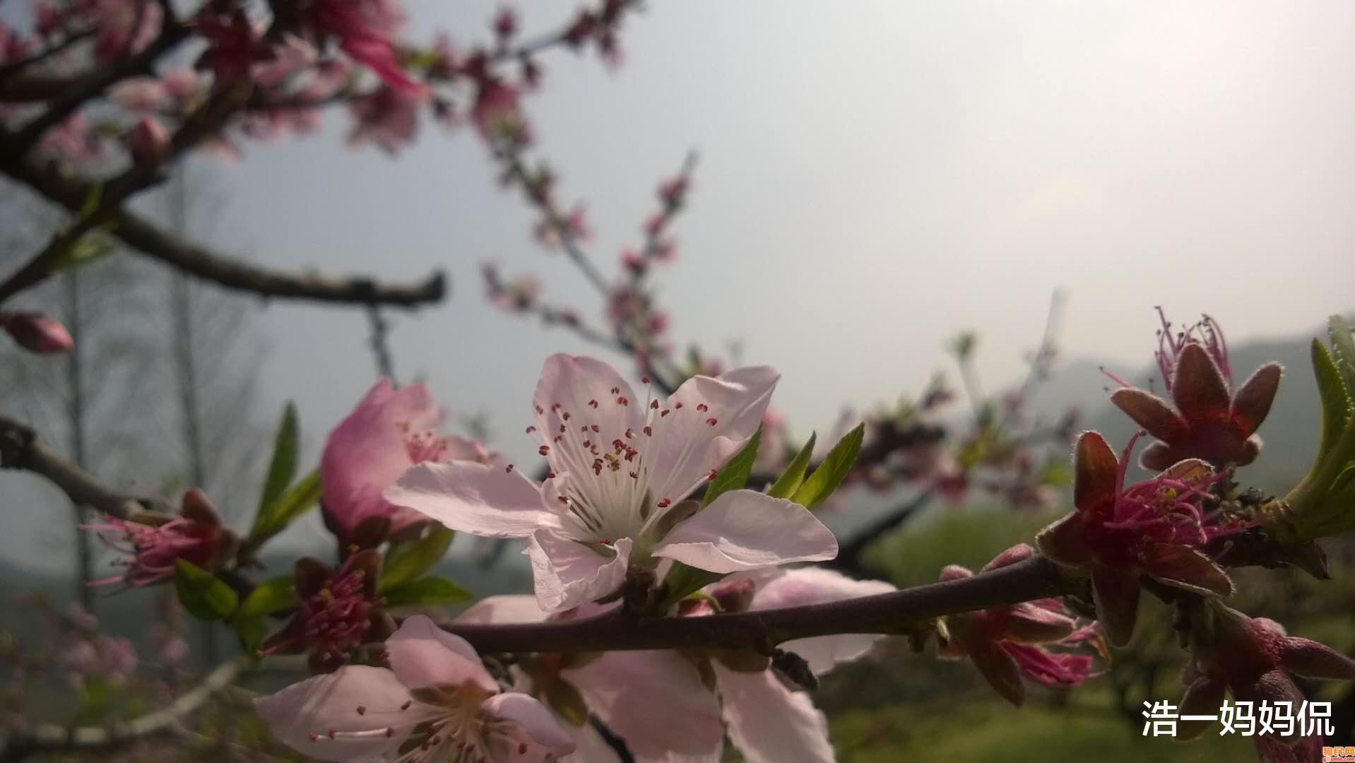 「生肖」6月30号，3生肖将走上坡路，生意红，事业紫，经济自由又富足