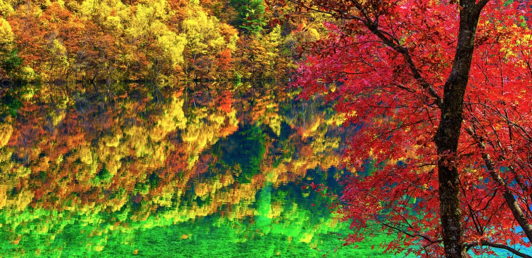 台湾▲这个绝色之地，治好了我去新疆的毒，戒掉了我去西藏的瘾