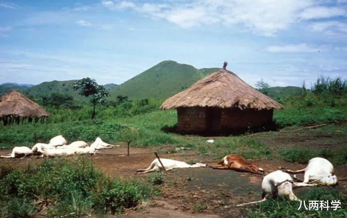 八两科学 非洲致命湖泊，一夜杀死1746人、3500头牲畜，湖里藏着什么东西？