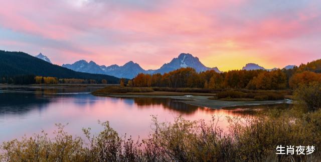 生肖▲6月，桃花运强势来袭，旧情人道歉，3生肖牵手良缘，幸福浪漫相爱