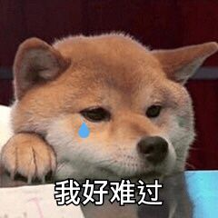 你好吴所畏|人设坍塌！玉林救狗华裔“英雄”牟利百万潜逃美国，还把小狗活活烧死